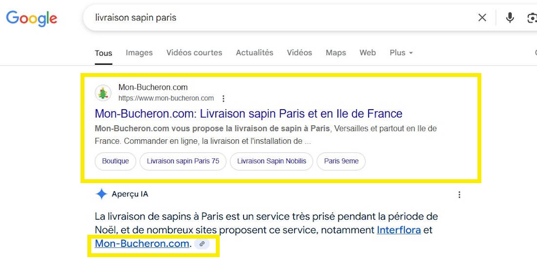 Résultat Google Mon Bucheron